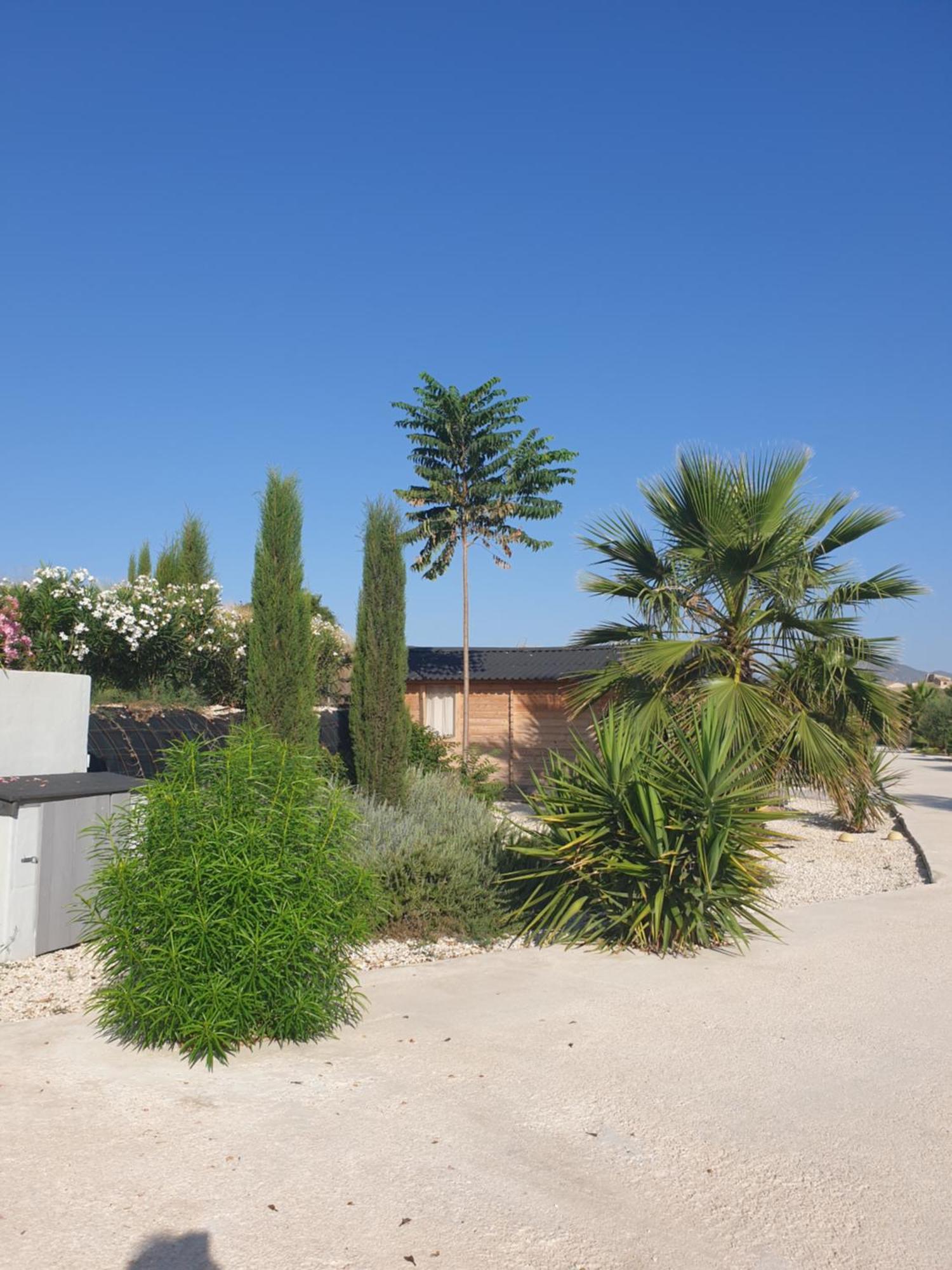 Casa De La Vida Liebetruth C Villa Aspe Kültér fotó