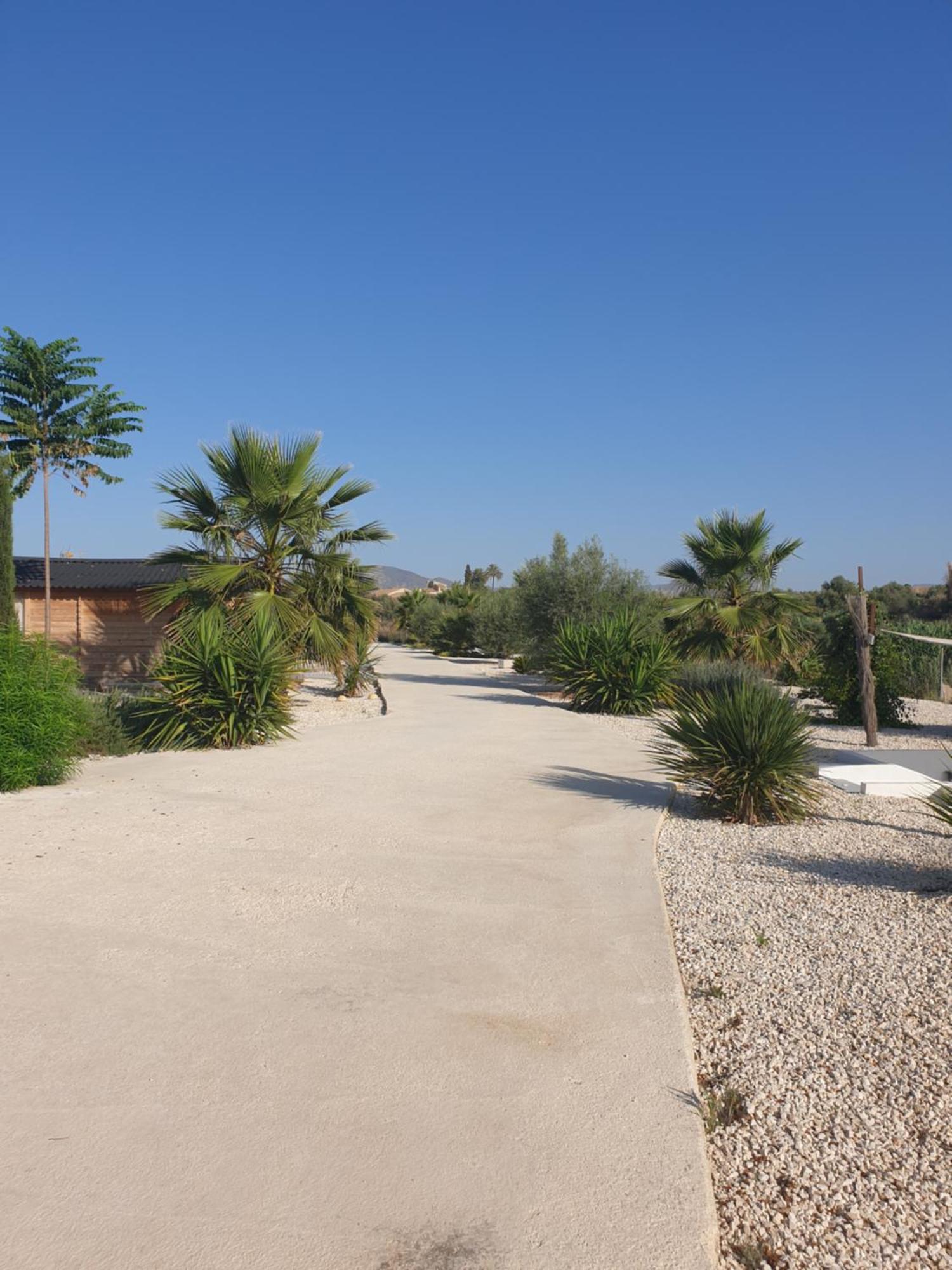 Casa De La Vida Liebetruth C Villa Aspe Kültér fotó